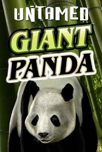 Игра Untamed - Giant Panda от Microgaming | Чемпион Слотс Казино 