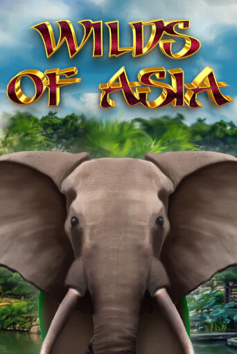 Игра Wilds of Asia от 5 Men Gaming | Чемпион Слотс Казино 